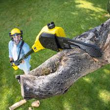 Best Lawn Mowing  in Midlothian, VA